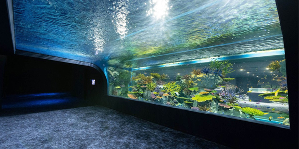 DMMかりゆし水族館
