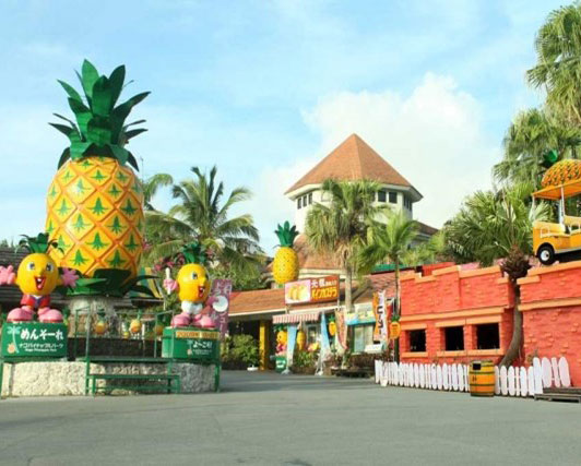 沖縄北部の観光スポットは名護パイナップルパーク